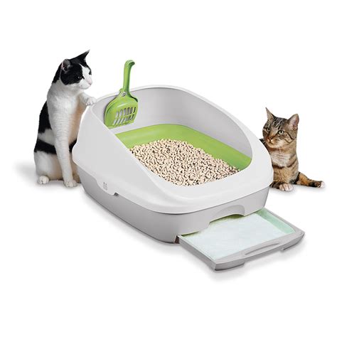 Contact information for bpenergytrading.eu - Best for small cats: Tidy Cats Breeze Cat Litter Box System. Best for larger cats: Catit Jumbo Hooded Cat Pan. Best self-cleaning litter box: PetSafe ScoopFree automatic cat litter box. Best for style: Modkat Flip Litter Box. Best splurge: Litter Robot 3. Best for the environment: Kitty Sift Disposable Sifting Cat Litter Box Kit.